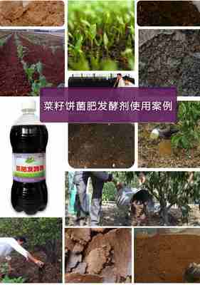 菜籽餅作為生物有機肥料的處理方法與研發(fā)前景