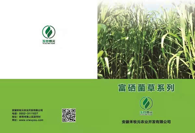 禾木元富硒菌種苗與生物有機肥料的創(chuàng)新研發(fā)