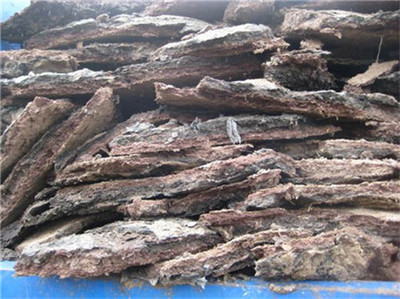 海南臨高椰子種植專用生物有機肥的研發(fā)與應用前景