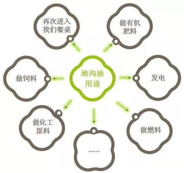 從“地溝油”到綠色未來 環保水性漆與生物有機肥料的創新之路