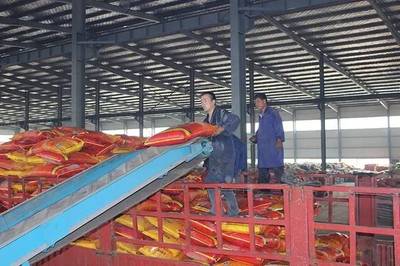 成長(zhǎng)之星 | 源科生物 治理農(nóng)業(yè)面源污染，從土壤修復(fù)開(kāi)始——生物有機(jī)肥料研發(fā)之路