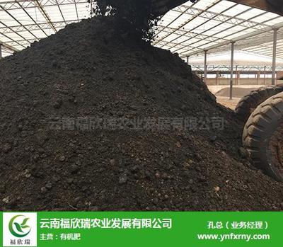 個舊微生物有機肥推薦 福欣瑞農業，創新研發引領綠色農業新篇章