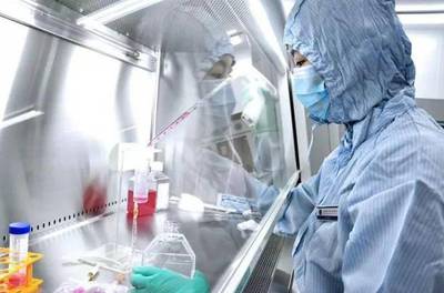 孵化器里誕生新成果 開發區又添兩家市級高新技術企業，深耕細胞技術研發與應用