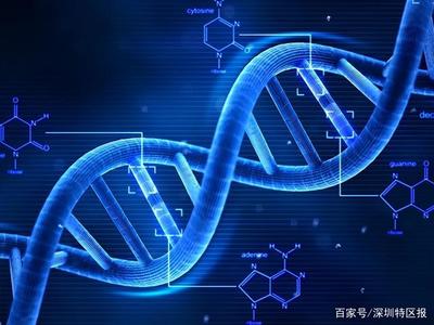 深圳為細胞和基因產業立法 劃定創新與倫理紅線，擬明令禁止生殖基因編輯